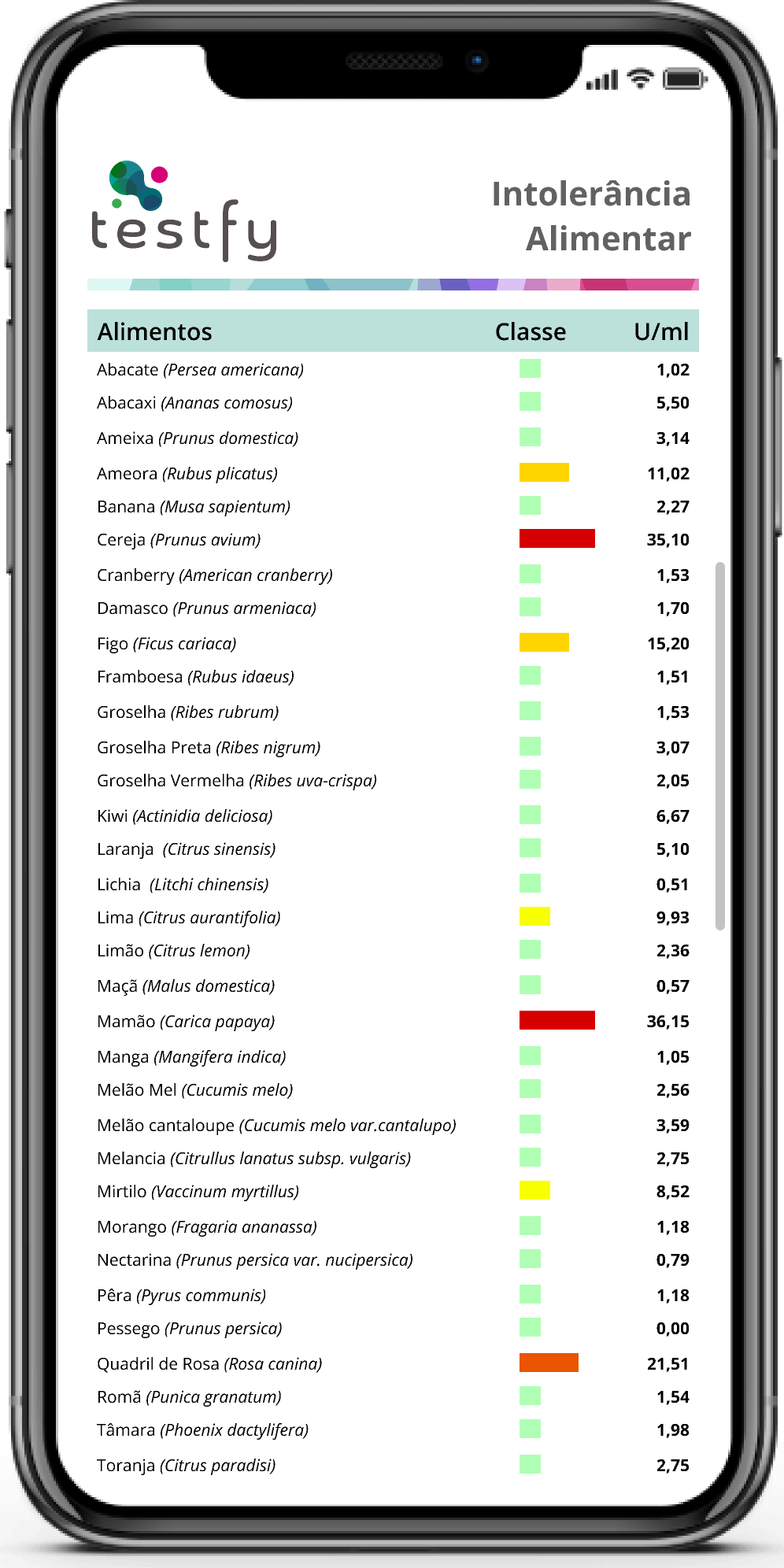 laudo Testfy